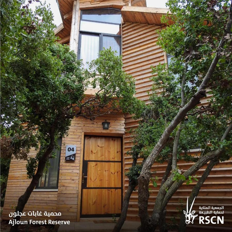 Ajloun Forest Reserve Exterior foto
