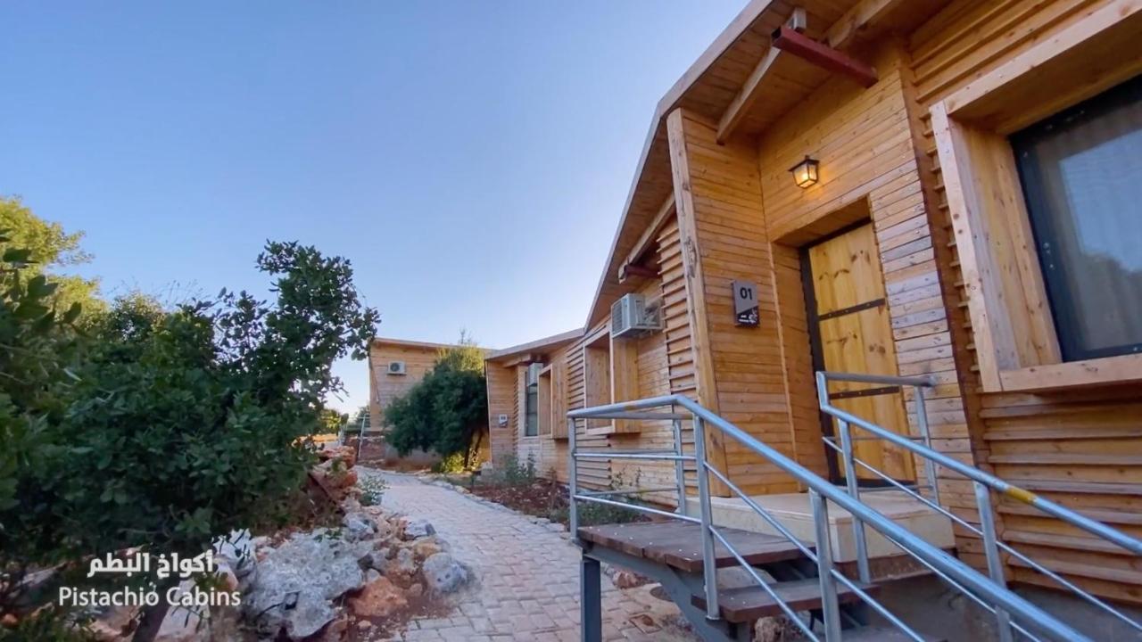 Ajloun Forest Reserve Exterior foto