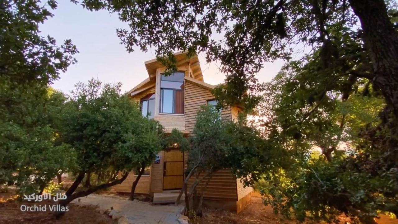 Ajloun Forest Reserve Exterior foto
