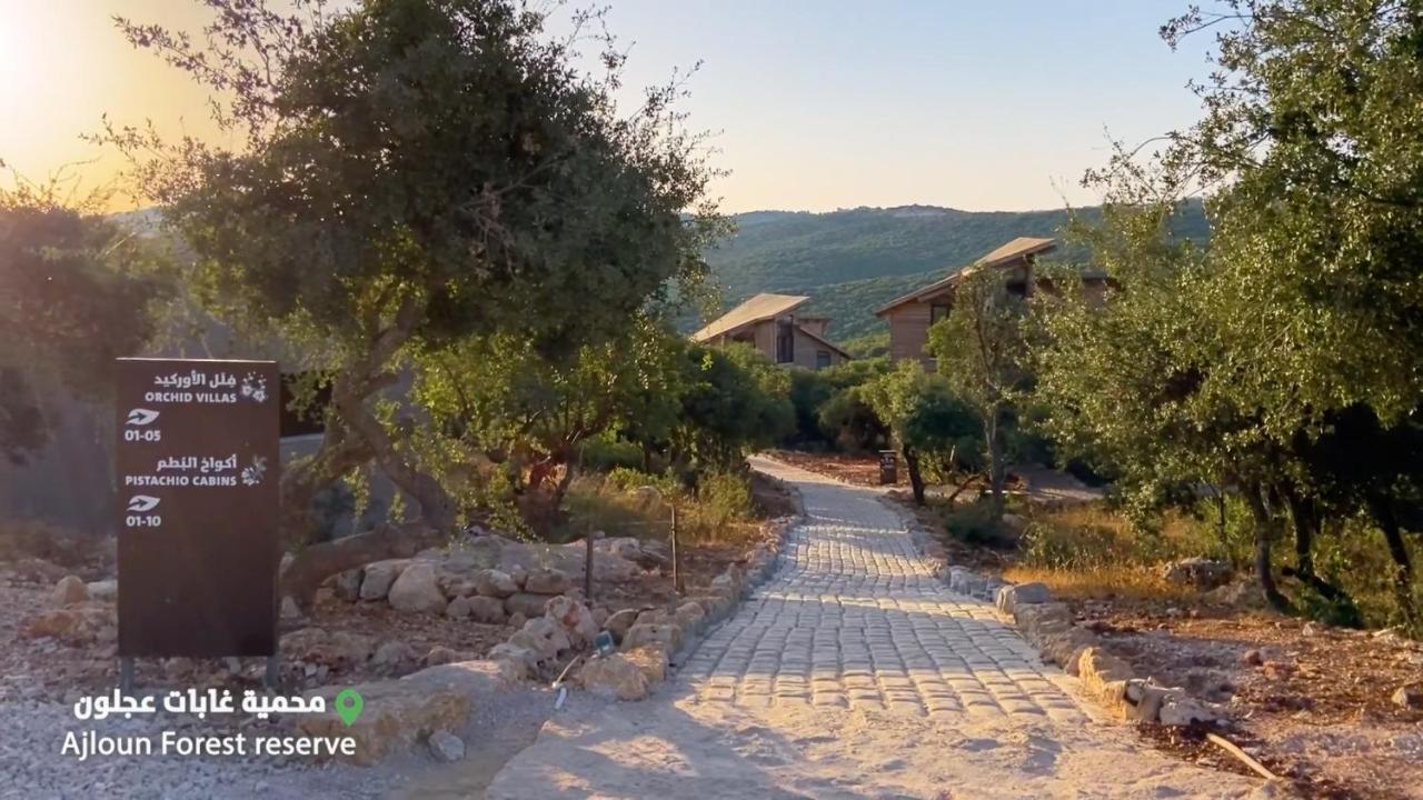 Ajloun Forest Reserve Exterior foto