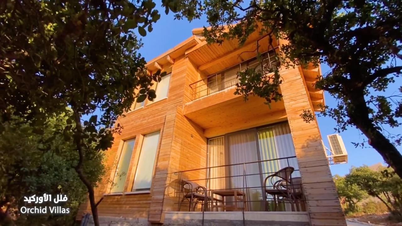 Ajloun Forest Reserve Exterior foto