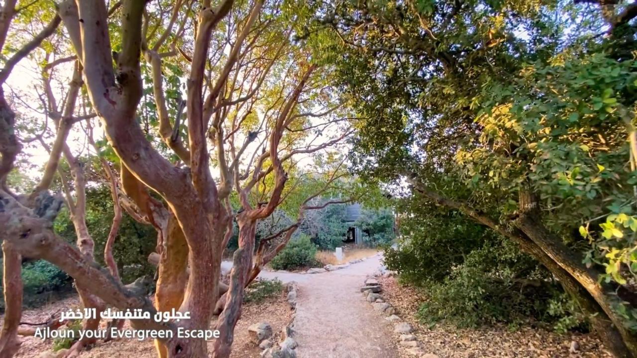 Ajloun Forest Reserve Exterior foto