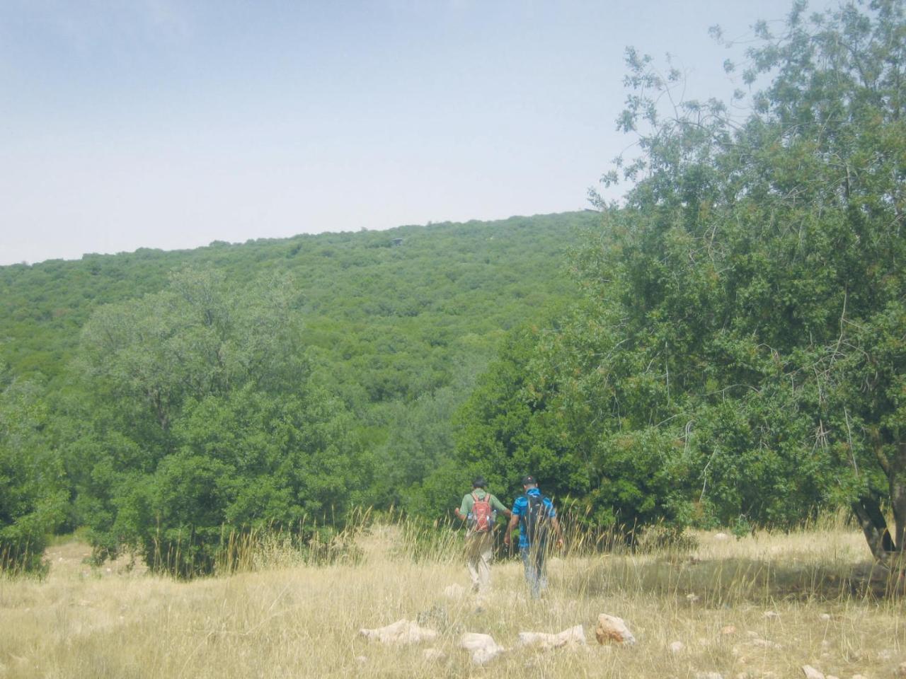 Ajloun Forest Reserve Exterior foto