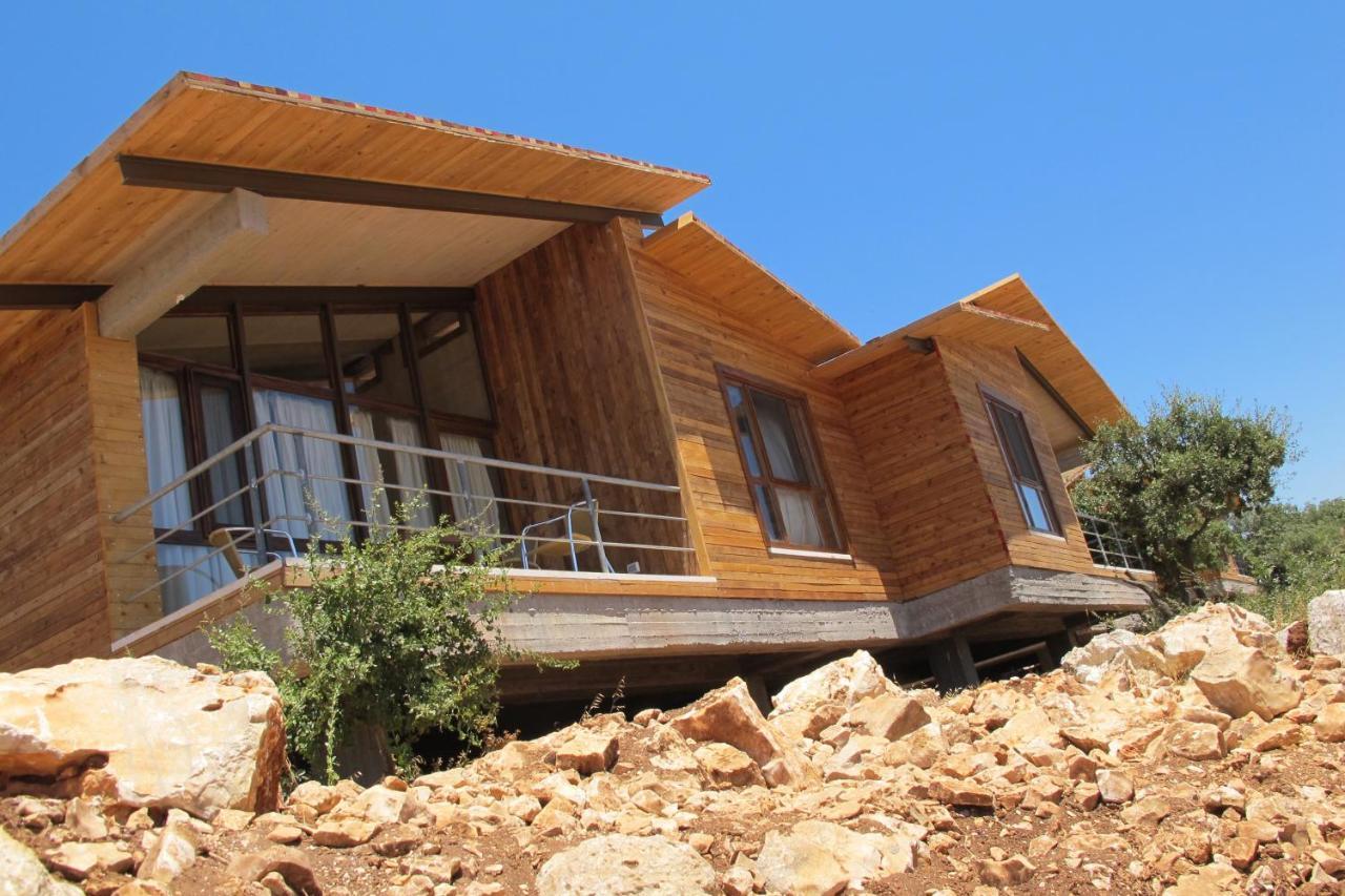 Ajloun Forest Reserve Exterior foto