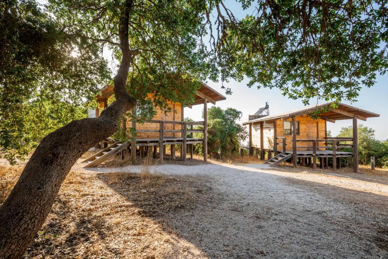 Ajloun Forest Reserve Exterior foto